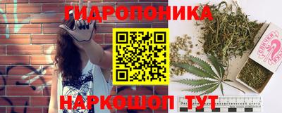 a pvp Краснодар