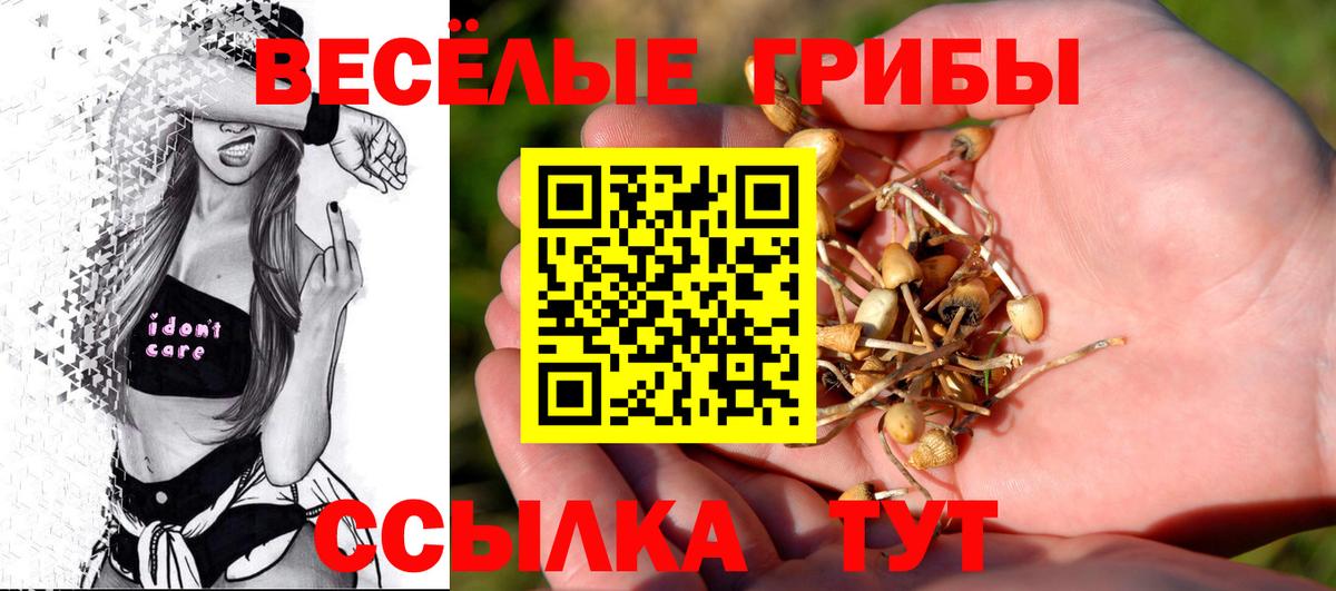Галлюциногенные грибы ЛСД  Псилоцибиновые грибы Cubensis  Вход с VPN  Крымск 